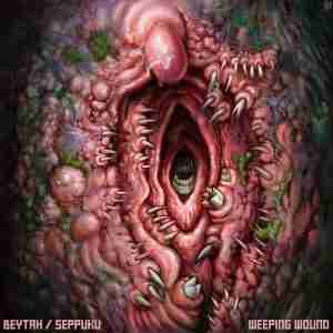 rope and tie album art weeping wound industrial noise experimental music